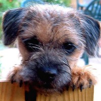 Profile Picture of Chris Hawley (@chris-hawley-34) on Quora