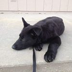 Profile Picture of keaton adams (@keatonlink10yt) on Instagram