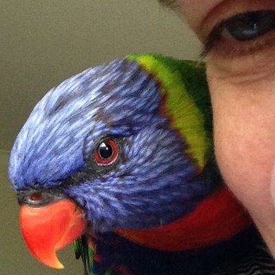 Profile Picture of Michaela Sukopova (@xmisanka) on Twitter