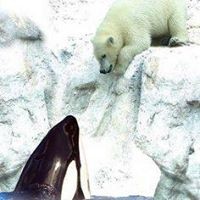 Profile Picture of Mindi Diperno (@mindi-diperno) on Quora