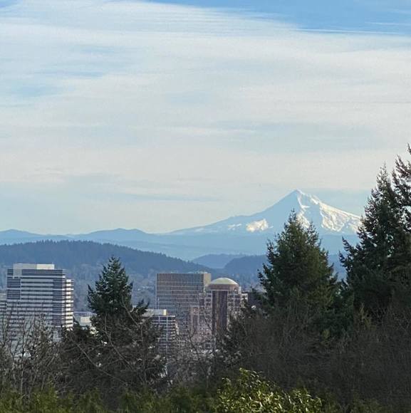 Profile Picture of Madison Fetyko (@mmfinvest2) on Poshmark