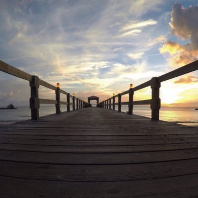 Profile Picture of Bites N Sites (@Bitesnsites) on Twitter