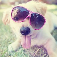 Profile Picture of Margo Fowler (@margo-fowler) on Quora