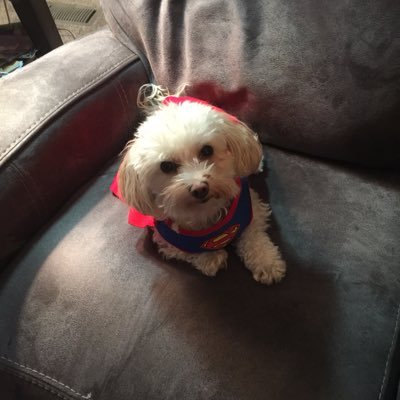 Profile Picture of Nancy Kehoe (@nancykehoe5) on Twitter