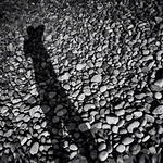 Profile Picture of Bruno Delande Photographe (@bruno delande) on Flickr