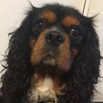 Profile Picture of Jacob Lund Bondesen (@jacob_bondesen) on Instagram