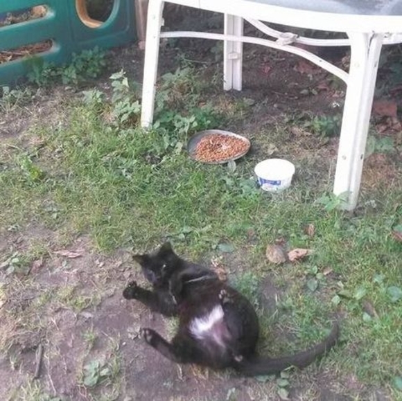 Profile Picture of Lyn Gilligan (@lyn_gilligan) on Poshmark