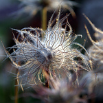 Profile Picture of Peter Hesko (@pethes1) on Flickr