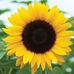 Profile Picture of Debbie Abercrombie  Solano (@debbie.abercrombie.908) on Facebook