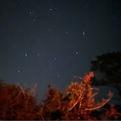 Profile Picture of Bernadette Nevins (@baitod) on Youtube