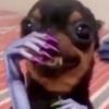 Profile Picture of Is your skirt rolled up?? (@@kevinblakey.gyca) on Tiktok