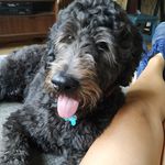 Profile Picture of Leanne O'Rourke (@leanne.orourke) on Instagram