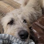 Profile Picture of Matthew S Van Uitert (@matthewvanuitert) on Instagram