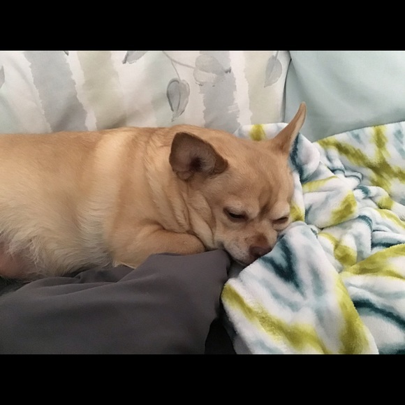 Profile Picture of Hollie Walters (@lkhcreations) on Poshmark