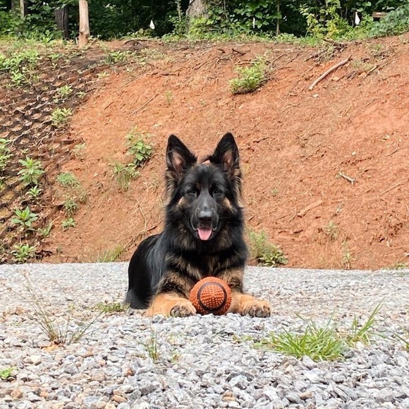 Profile Picture of Makeca Gilliland (@makecagilliland) on Poshmark