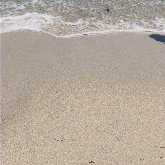 Allison Zieser - Poshmark Profile Picture of Allison Zieser (@alliejozieser) on Poshmark