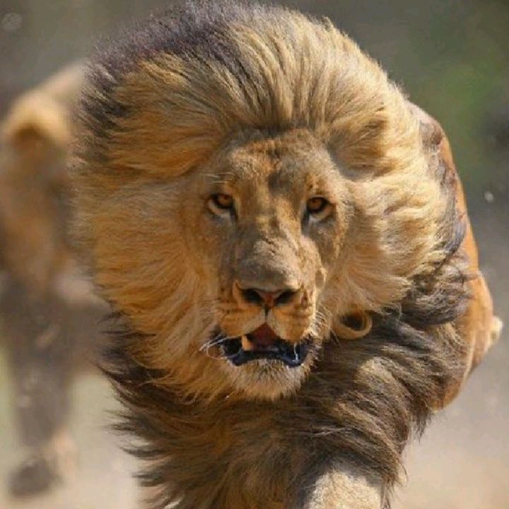 Profile Picture of Skeeter (@marylhanson) on Tiktok