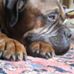Profile Picture of Keith Taft (@keith.taft.7568) on Facebook