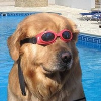 Profile Picture of Andrew Leak (@andrew-leak-4) on Quora