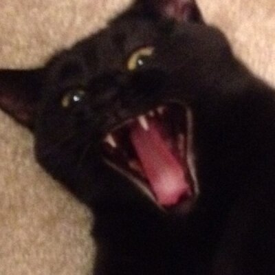 Profile Picture of Mike Moleski (@MoleskiMike) on Twitter