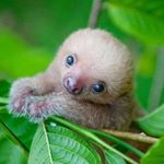 Profile Picture of Clare Wiseman (@wiseman.clare) on Instagram