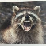 Profile Picture of Mario Plasencia (@marioplasencia117) on Instagram