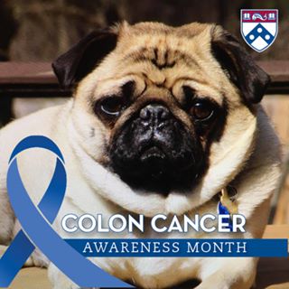 Profile Picture of Coleen Webber (Coleen Tierney Webber) (@coleen.webber) on Facebook