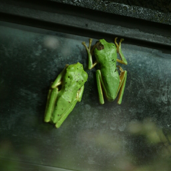 Profile Picture of Shelby Tuschl (@shelbytuschl) on Poshmark