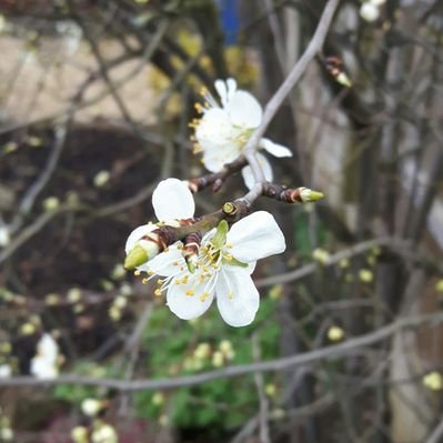 Paul Desborough - Twitter Profile Picture of Paul Desborough (@PaulDesborough) on Twitter