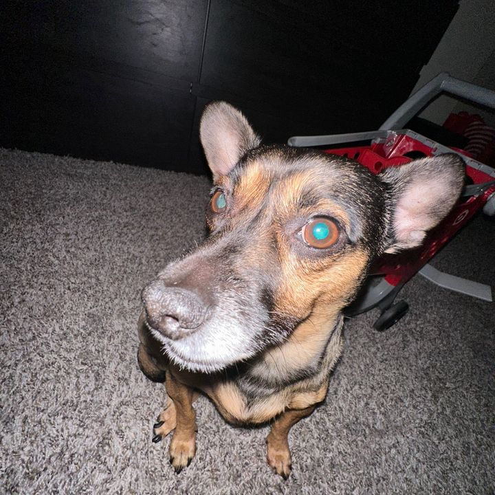 Profile Picture of Ilena D. Thomas (@ilenathomas) on Tiktok