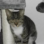 Profile Picture of Bølle Hjarsen (@jeanette.damgaard.5) on Facebook