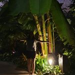 Profile Picture of Sandra (@sandra.marschner) on Instagram