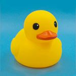 Profile Picture of Federica Pessina 🌈 (@inwoonder.land) on Instagram