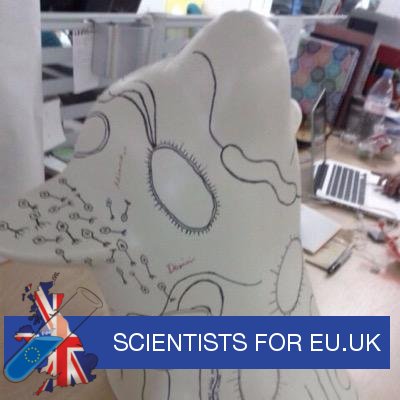 Profile Picture of Chloe James (@drchloejames) on Twitter