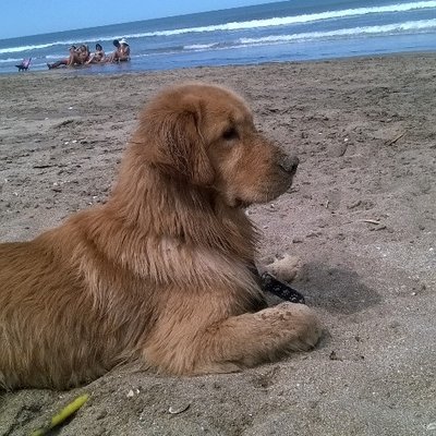 Profile Picture of Vero (@verolopezcurras) on Twitter