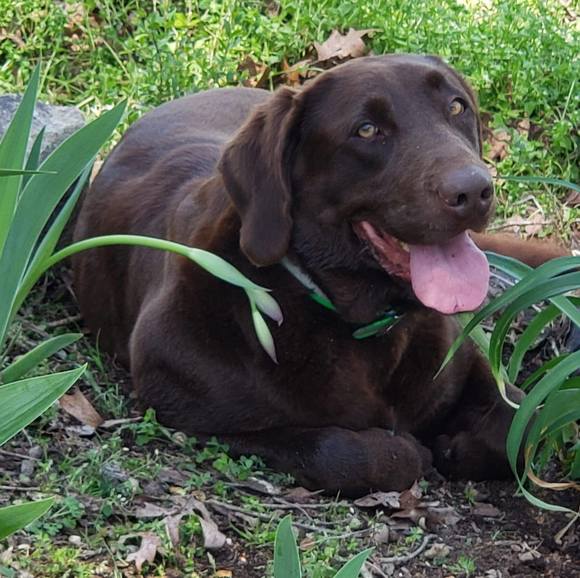 Profile Picture of Crystal Salmons (@cris_11225986) on Poshmark