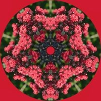 Profile Picture of Marshall Bullock (@marshall-bullock-2) on Quora