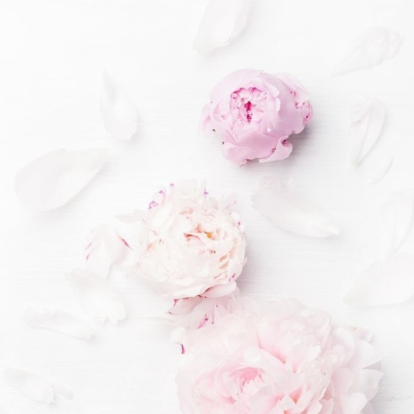 Profile Picture of Alex Peschell (@aepeschell) on Poshmark