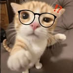 Profile Picture of Chirs HuGo (@min.thant.749306) on Facebook