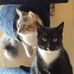 Profile Picture of Tammy Marable Turley (@tammy.m.turley) on Facebook