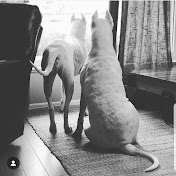 Profile Picture of Daniel Spradley (@dansprad23) on Youtube