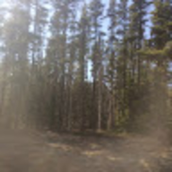 Profile Picture of Sarah Magny (@sarah_magny) on Poshmark