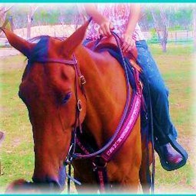 Profile Picture of Brianna Hicks (@Briannahicks16) on Twitter