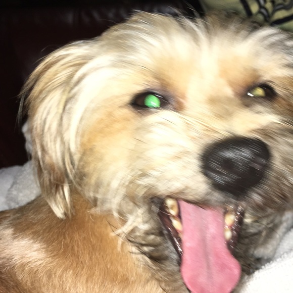 Emma Henager - Poshmark Profile Picture of Emma Henager (@emmahenager) on Poshmark