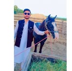 Profile Picture of BaQur Qureshi (@baqur.qureshi.52) on Facebook