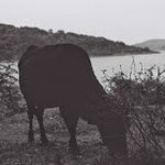 Christopher_Radke - Instagram Profile Picture of Christopher_Radke (@christopher.radke) on Instagram