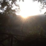 Profile Picture of Lucia Bracci (@l_u_c_i_a__) on Instagram