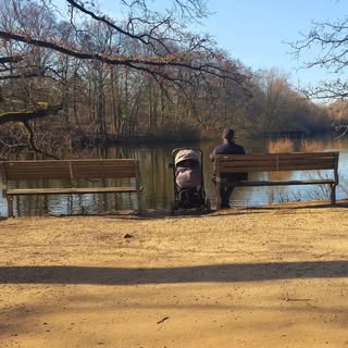 Profile Picture of Michael Koch (@koch_michael) on Instagram