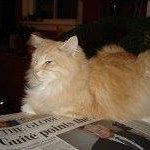 Profile Picture of Steve Karpik (@steve_karpik) on Instagram