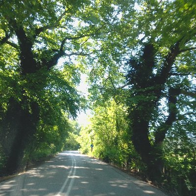 Profile Picture of Sandy Mak (@Sandymak14) on Twitter